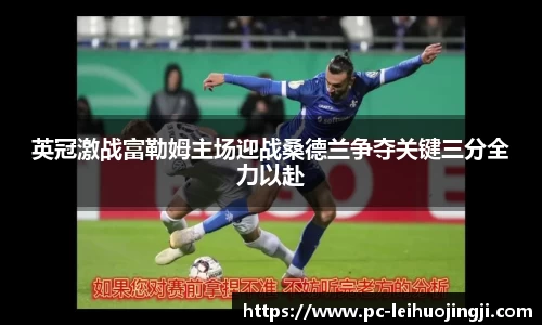 英冠激战富勒姆主场迎战桑德兰争夺关键三分全力以赴